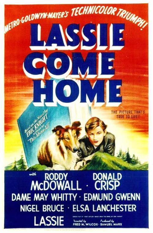 1943 Lassie Come Home movie poster