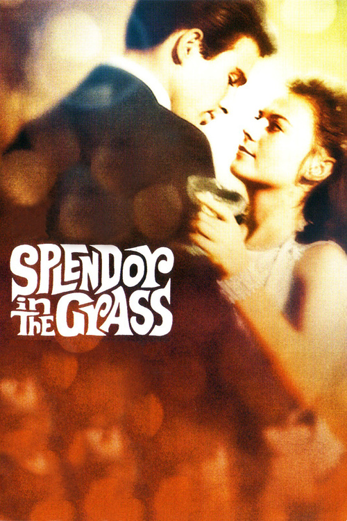 1961 Splendor in the Grass movie poster