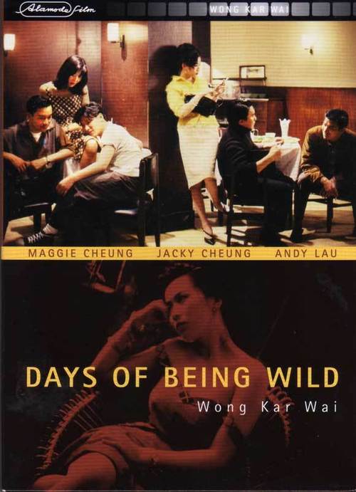 1991 Days of Being Wild movie poster