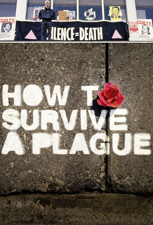 2012 How to Survive a Plague movie poster