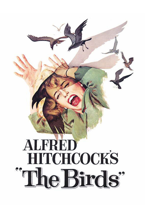1963 The Birds movie poster