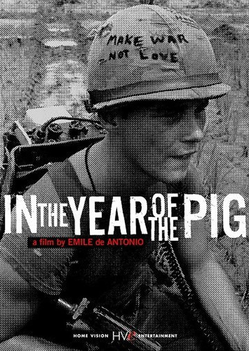 In the Year of the Pig Poster
