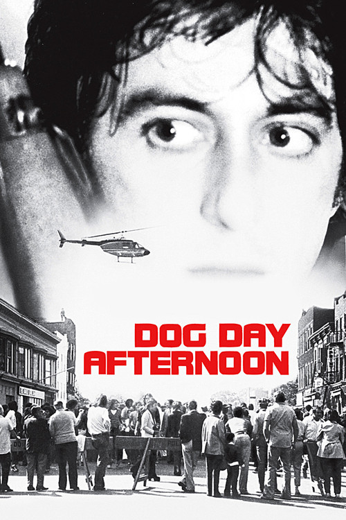 1975 Dog Day Afternoon movie poster