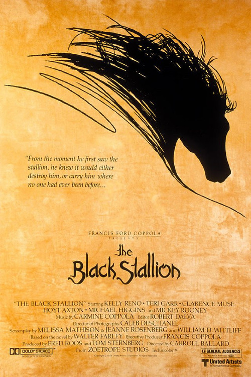1979 The Black Stallion movie poster