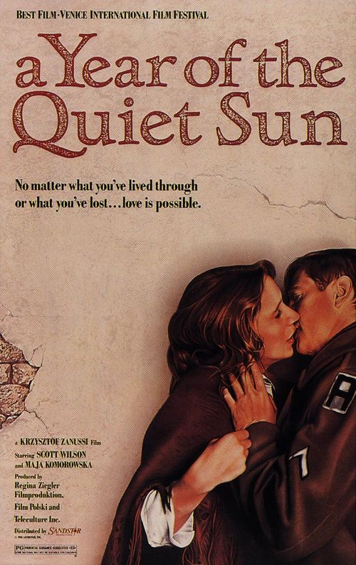 A Year of the Quiet Sun Poster