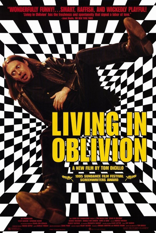 Living In Oblivion Poster