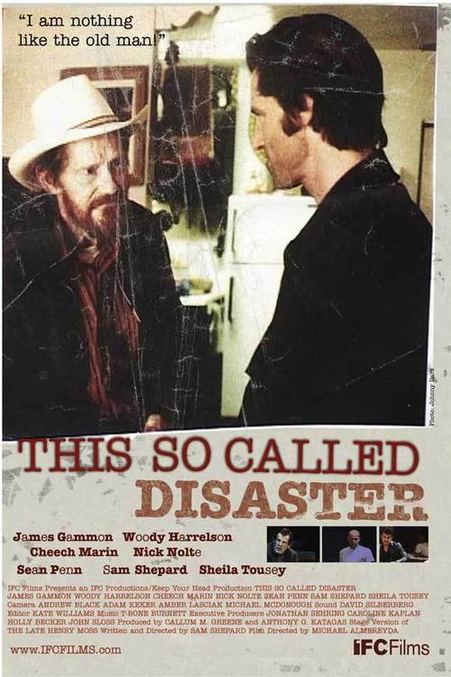 This So-Called Disaster Poster