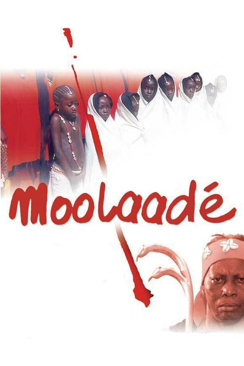 Moolaadé Poster