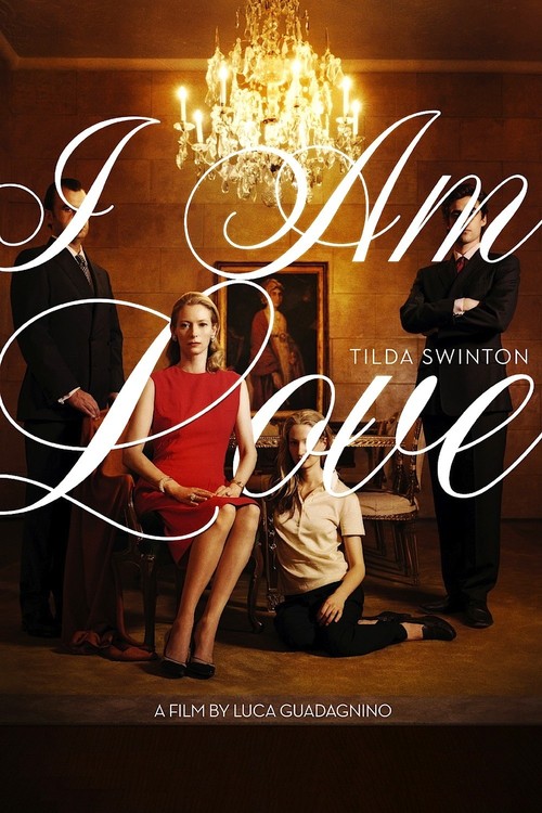 2010 I Am Love movie poster