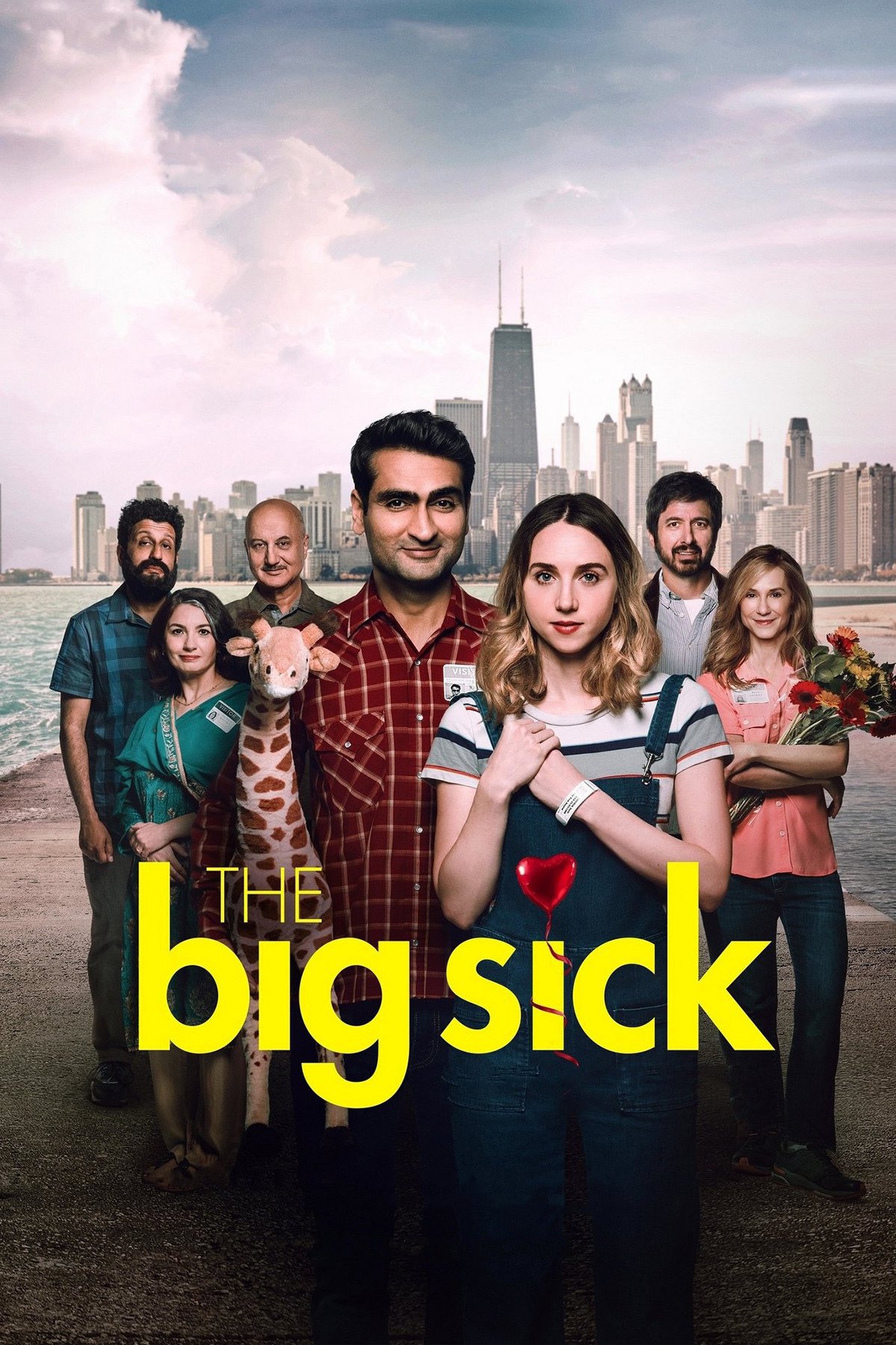2017 The Big Sick movie poster