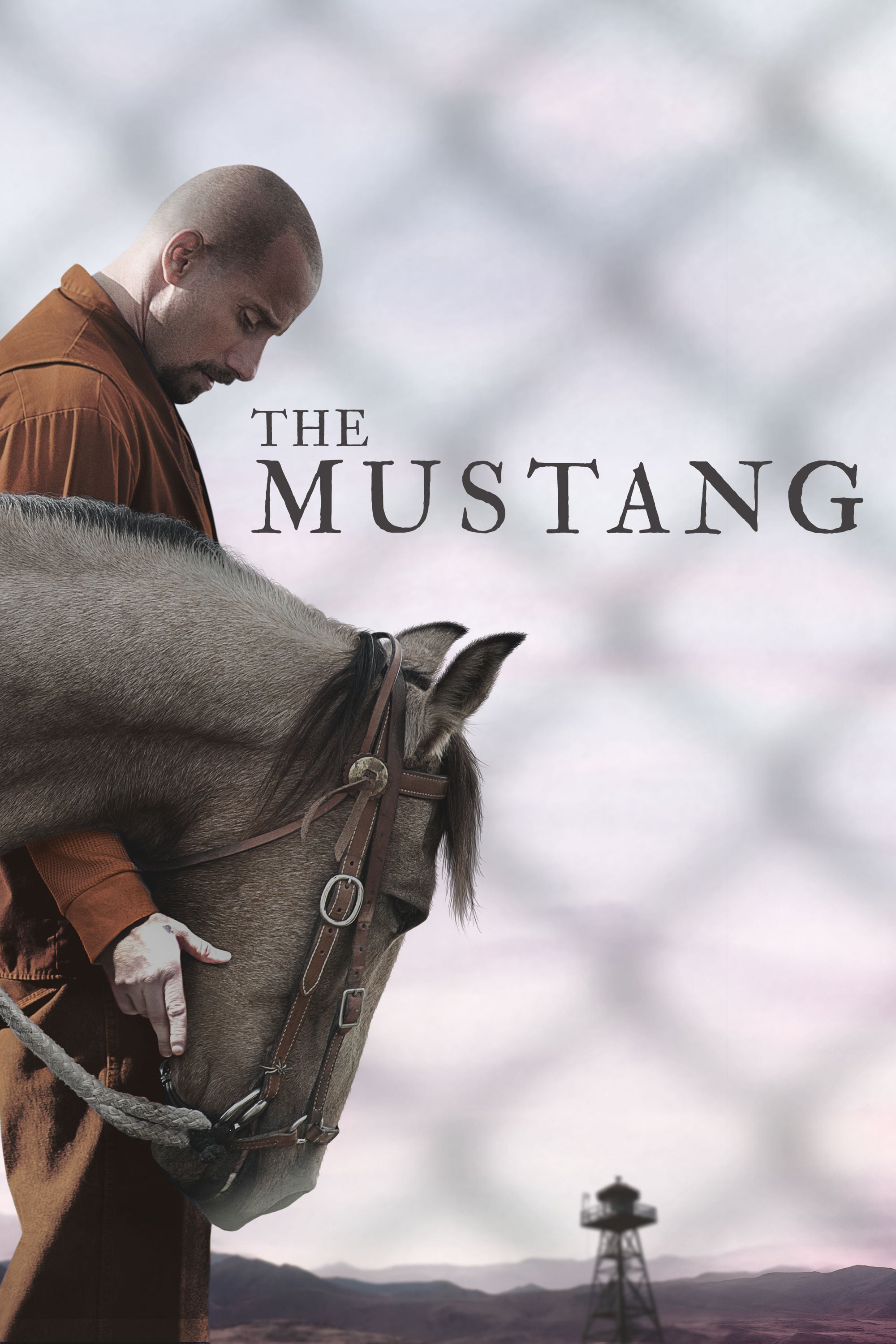 The Mustang Poster