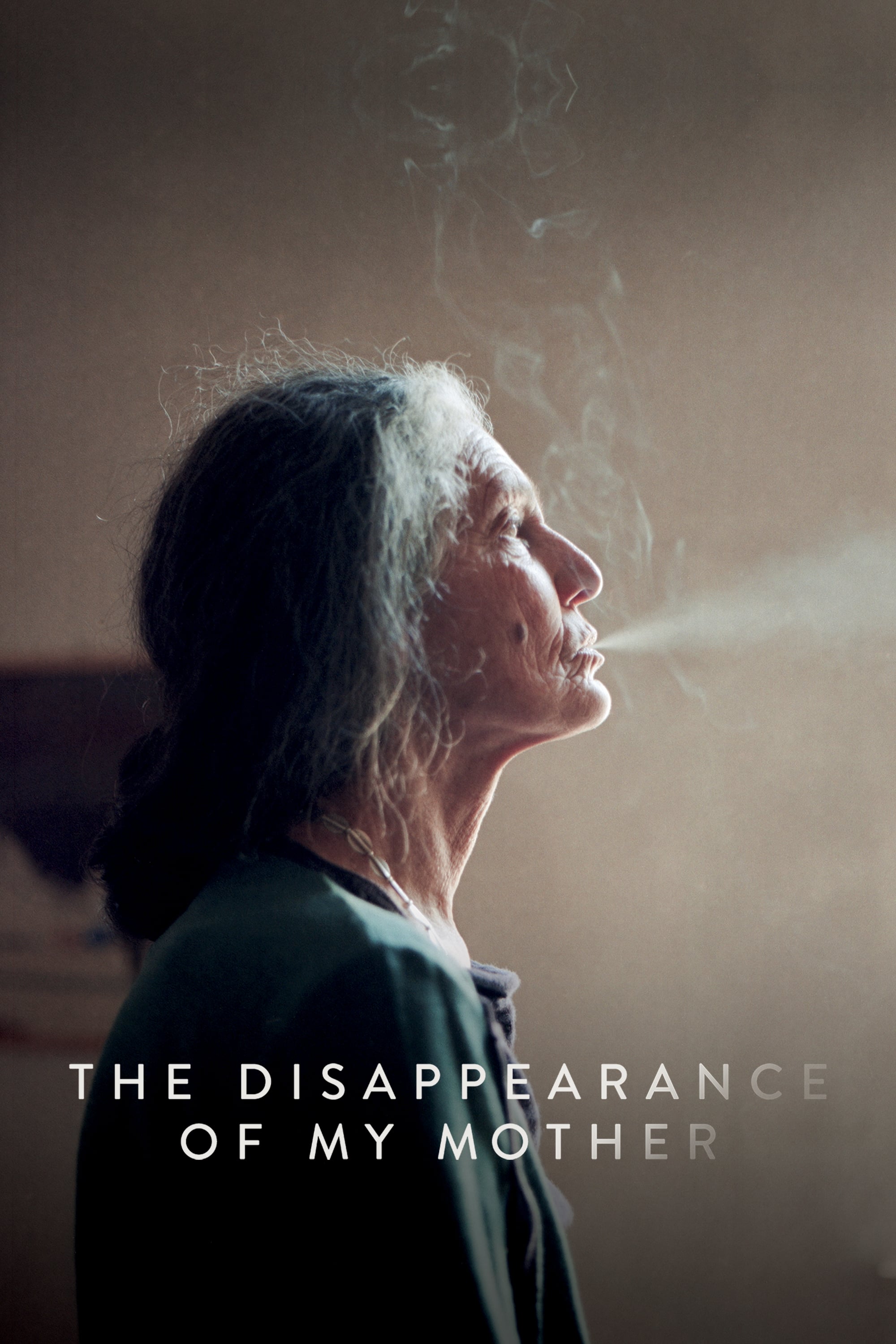 The Disappearance of My Mother Poster